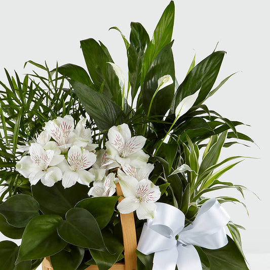 Peace & Serenity Dishgarden – BLOSSOMS & BALLOONS FLORIST, Roseville CA