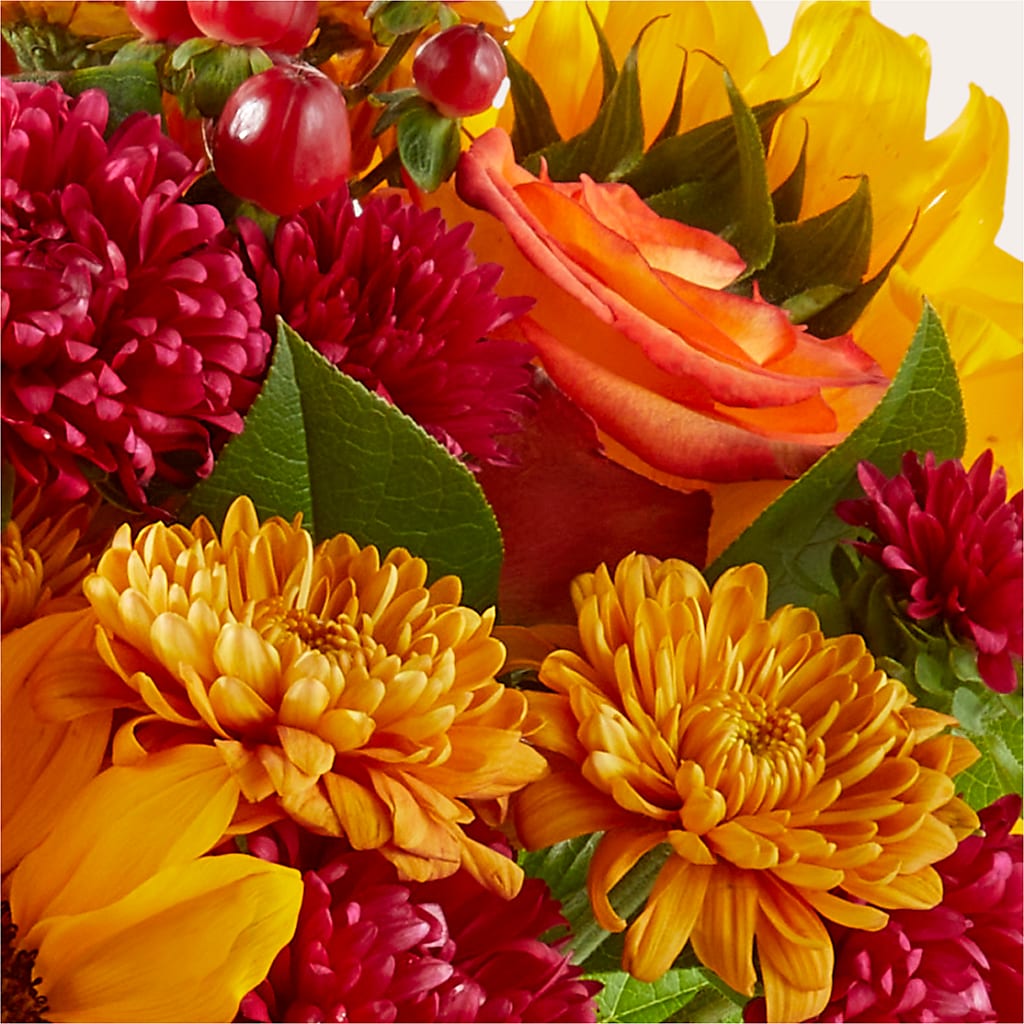 Sweater Season - A Florist Original – BLOSSOMS & BALLOONS FLORIST, Roseville CA