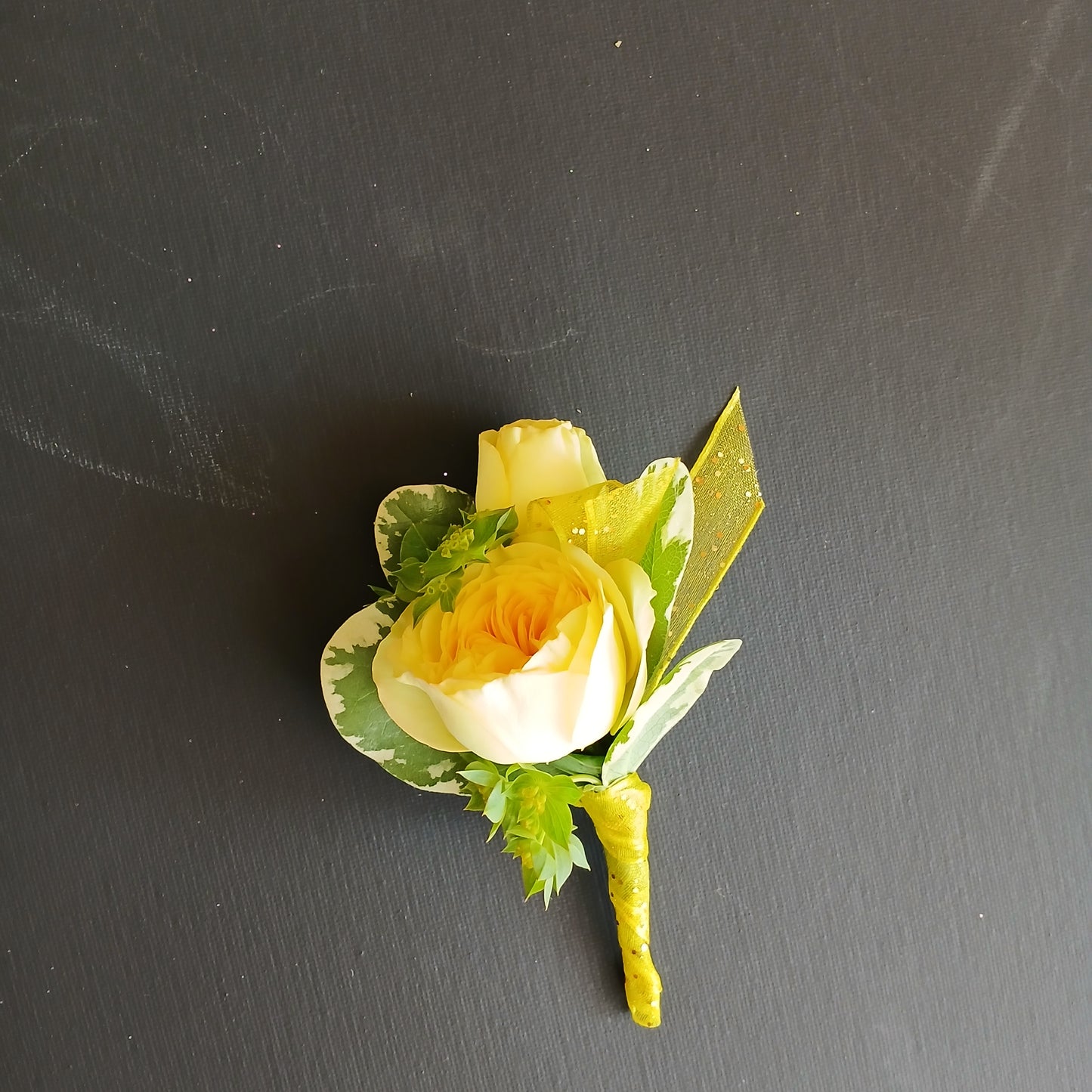 DAFFODIL CHIFFON