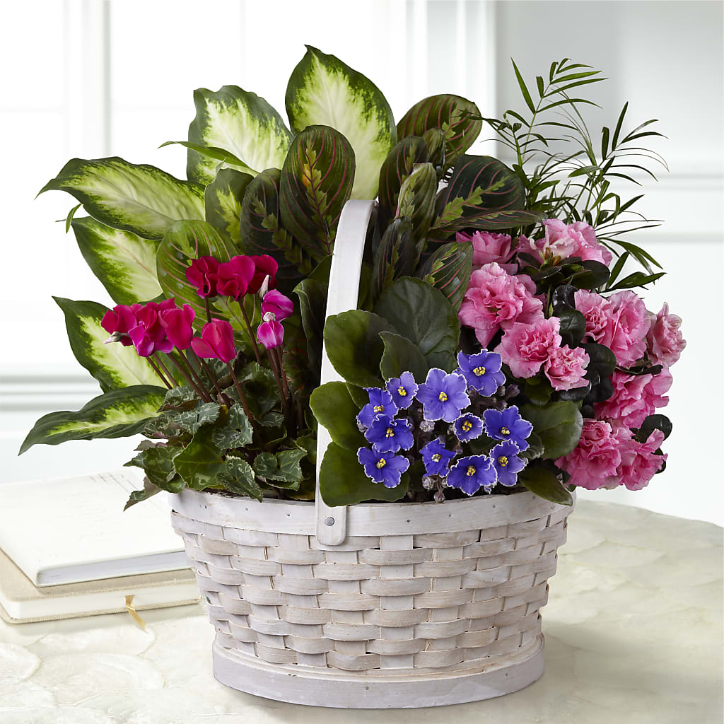 Peaceful Garden Planter – BLOSSOMS & BALLOONS FLORIST, Roseville CA