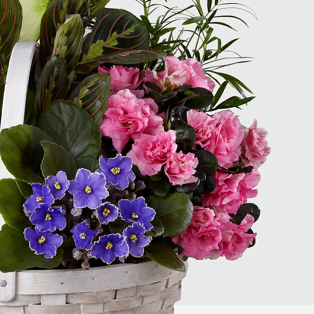 Peaceful Garden Planter – BLOSSOMS & BALLOONS FLORIST, Roseville CA