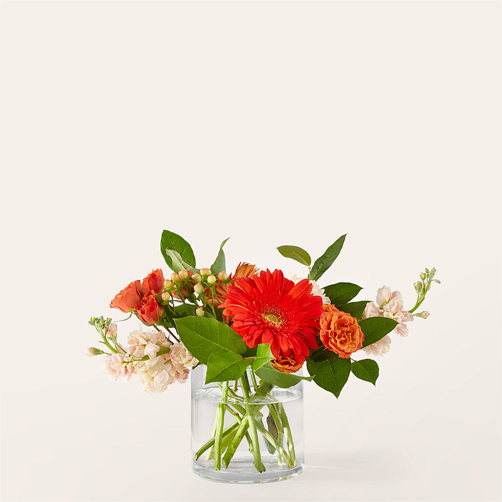 Paloma Please Bouquet – BLOSSOMS & BALLOONS FLORIST, Roseville CA