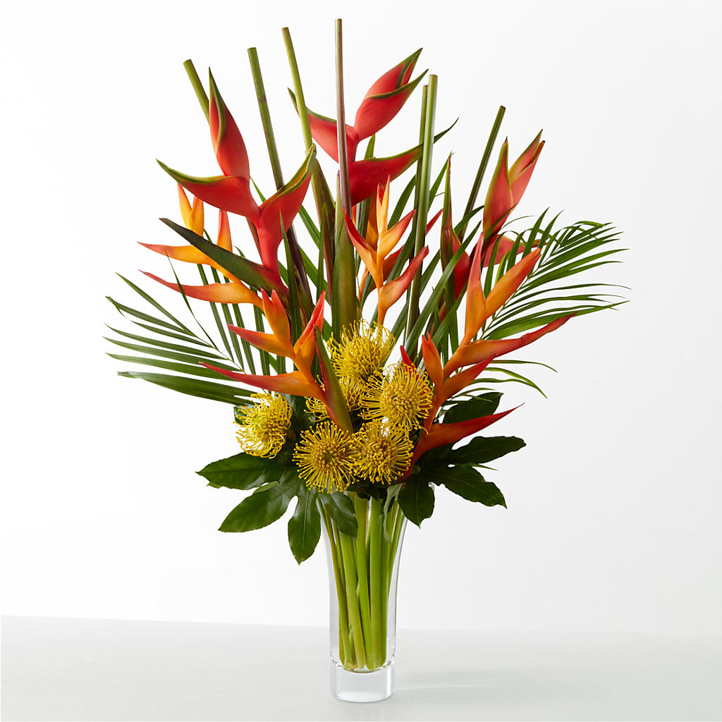The Drama – BLOSSOMS & BALLOONS FLORIST, Roseville CA