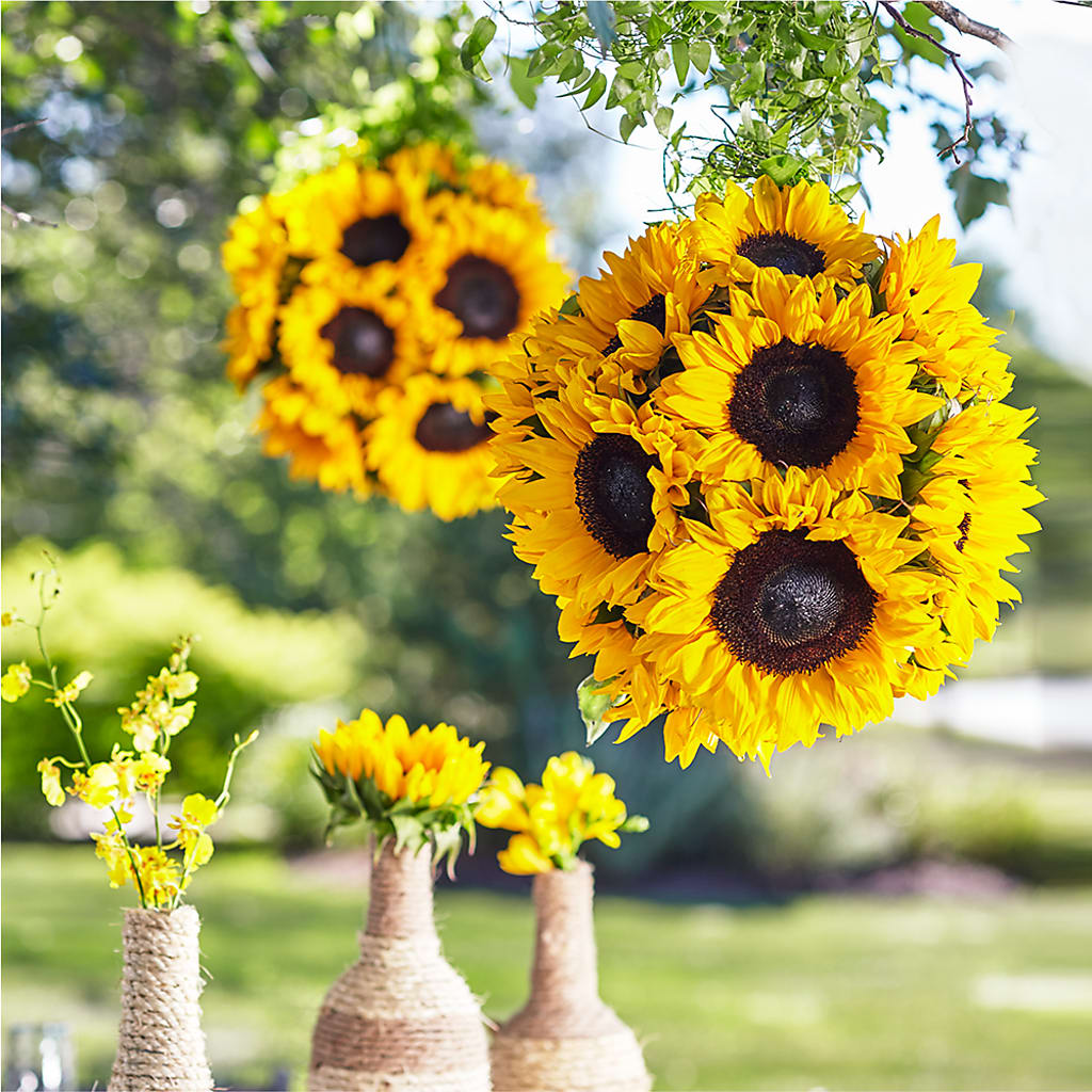 Sublime Garden Hanging Arrangement – BLOSSOMS & BALLOONS FLORIST, Roseville CA