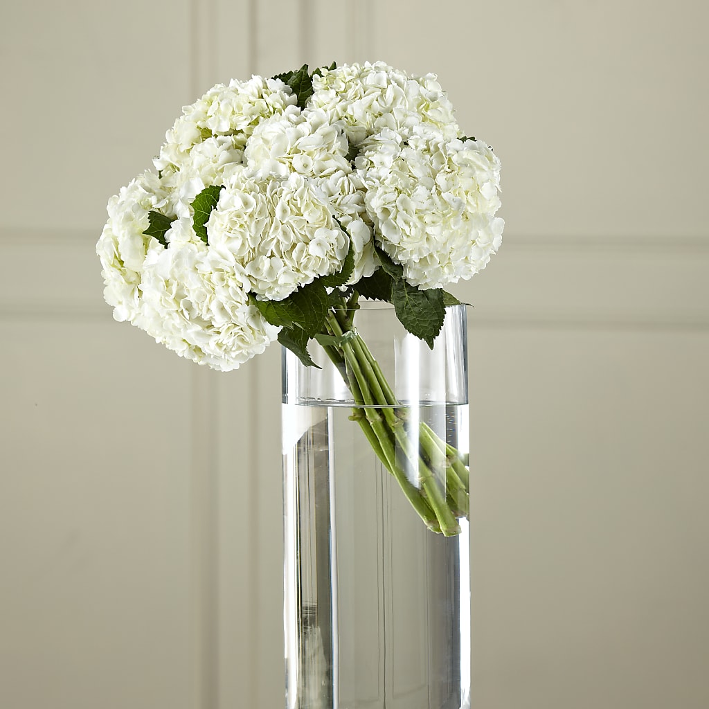 White Hydrangea Hand-Tied Bouquet – BLOSSOMS & BALLOONS FLORIST, Roseville CA