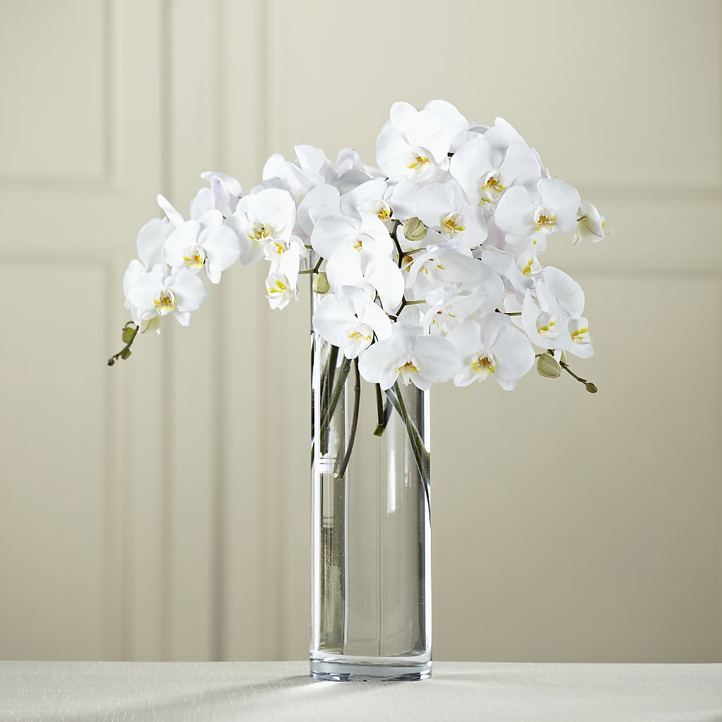 White Phalaenopsis Bouquet – BLOSSOMS & BALLOONS FLORIST, Roseville CA