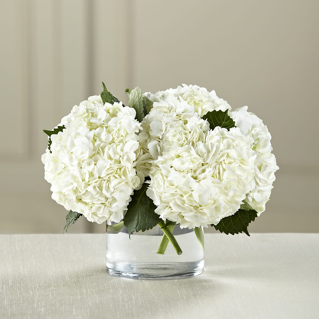 White Hydrangea Bouquet – BLOSSOMS & BALLOONS FLORIST, Roseville CA