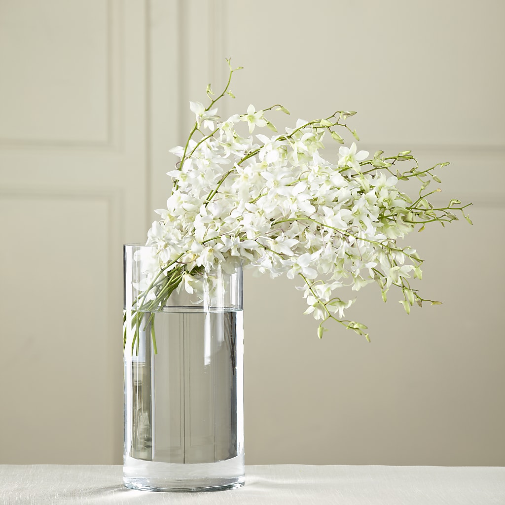 White Dendrobium Bouquet – BLOSSOMS & BALLOONS FLORIST, Roseville CA