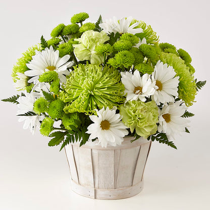 Lucky Charm Basket (Standard) – BLOSSOMS & BALLOONS FLORIST, Roseville CA
