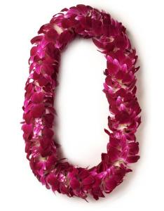 double bombay orchid lei – BLOSSOMS & BALLOONS FLORIST, Roseville CA