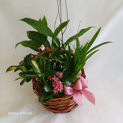 Secret Garden Basket – BLOSSOMS & BALLOONS FLORIST, Roseville CA