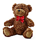 Adorable Plush Bear – BLOSSOMS & BALLOONS FLORIST, Roseville CA