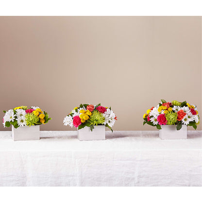 Sorbet Bouquet – BLOSSOMS & BALLOONS FLORIST, Roseville CA