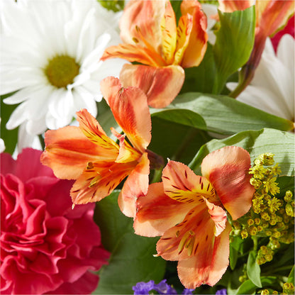 Oopsie Daisy Box Bouquet – BLOSSOMS & BALLOONS FLORIST, Roseville CA
