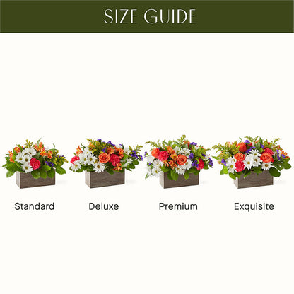 Oopsie Daisy Box Bouquet – BLOSSOMS & BALLOONS FLORIST, Roseville CA
