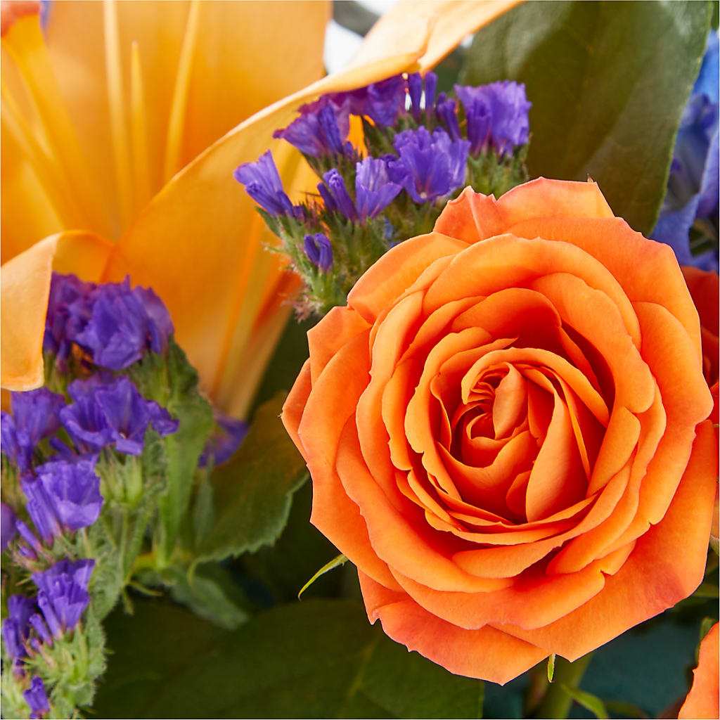Radiant Citrus Box Bouquet – BLOSSOMS & BALLOONS FLORIST, Roseville CA