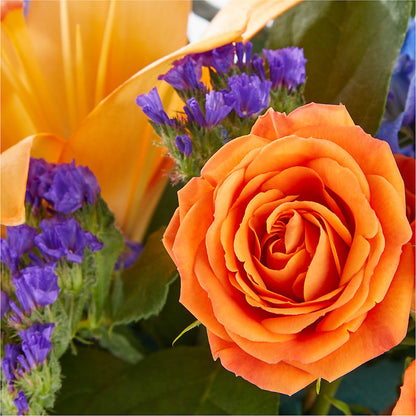Radiant Citrus Box Bouquet – BLOSSOMS & BALLOONS FLORIST, Roseville CA