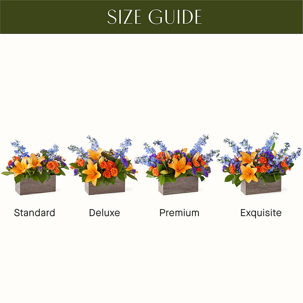 Radiant Citrus Box Bouquet – BLOSSOMS & BALLOONS FLORIST, Roseville CA
