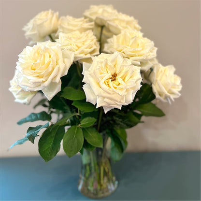 Long Stem Yellow Rose Bouquet – BLOSSOMS & BALLOONS FLORIST, Roseville CA