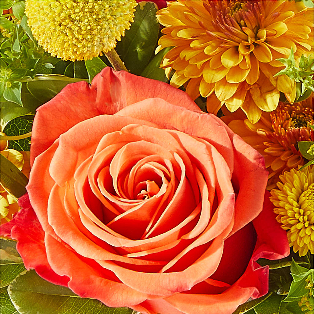 Gourdgeous Pumpkin – BLOSSOMS & BALLOONS FLORIST, Roseville CA