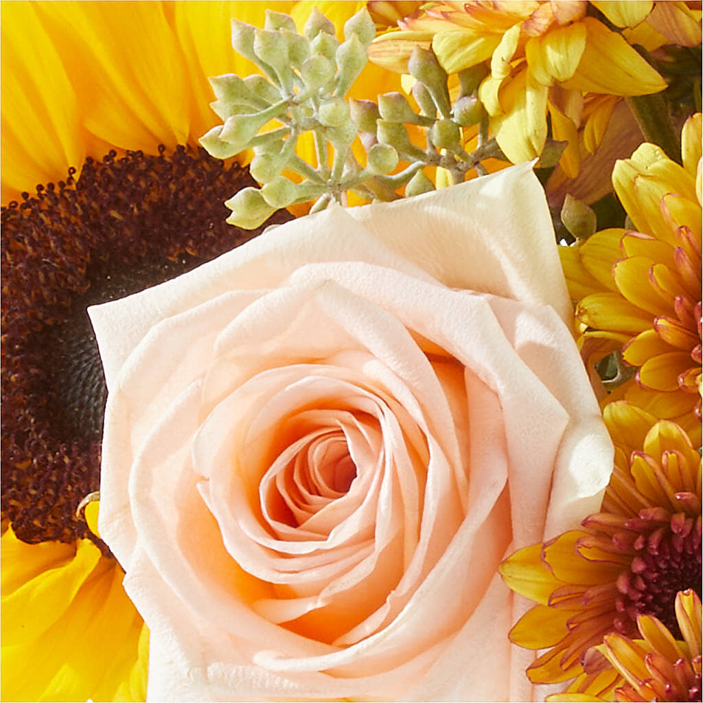 Pumpkin to Talk About Bouquet – BLOSSOMS & BALLOONS FLORIST, Roseville CA