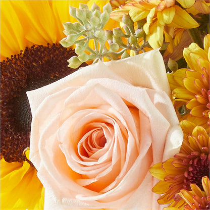 Pumpkin to Talk About Bouquet – BLOSSOMS & BALLOONS FLORIST, Roseville CA