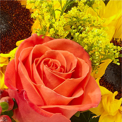 Pick of the Patch Pumpkin Bouquet – BLOSSOMS & BALLOONS FLORIST, Roseville CA