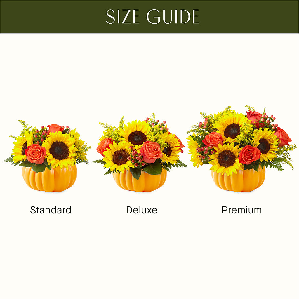 Pick of the Patch Pumpkin Bouquet – BLOSSOMS & BALLOONS FLORIST, Roseville CA