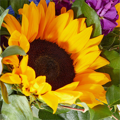 Catching Rays Bouquet – BLOSSOMS & BALLOONS FLORIST, Roseville CA