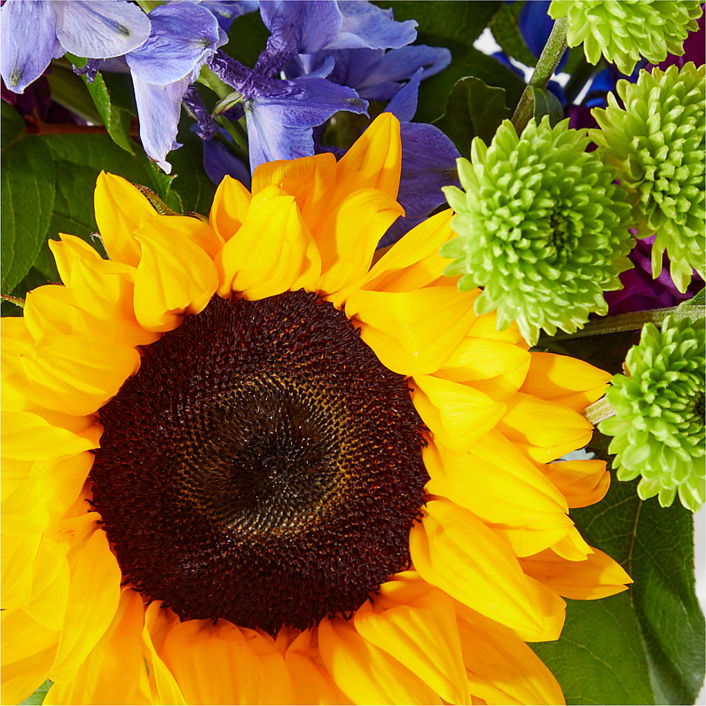 Catching Rays Bouquet – BLOSSOMS & BALLOONS FLORIST, Roseville CA