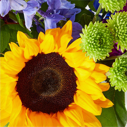 Catching Rays Bouquet – BLOSSOMS & BALLOONS FLORIST, Roseville CA