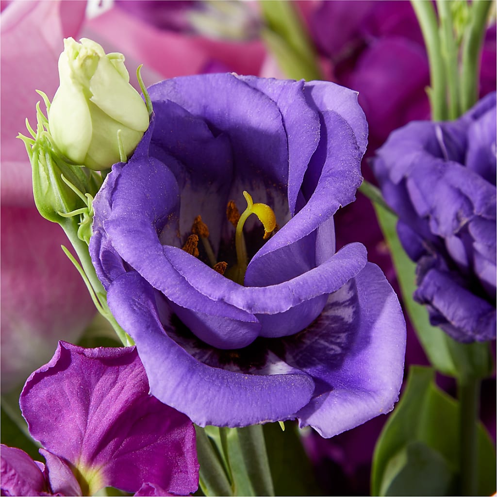 Twilight Glow Bouquet – BLOSSOMS & BALLOONS FLORIST, Roseville CA