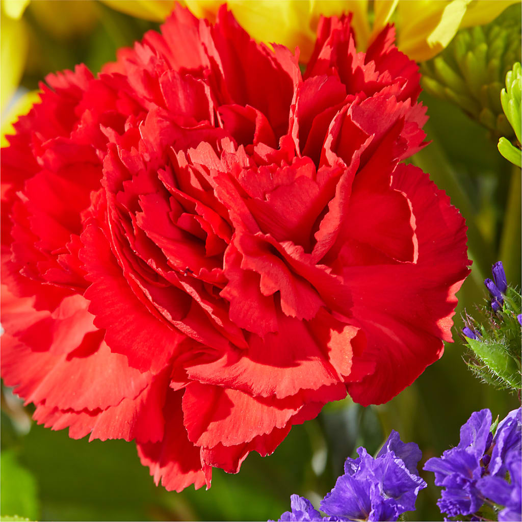 Brighter Days Bouquet – BLOSSOMS & BALLOONS FLORIST, Roseville CA