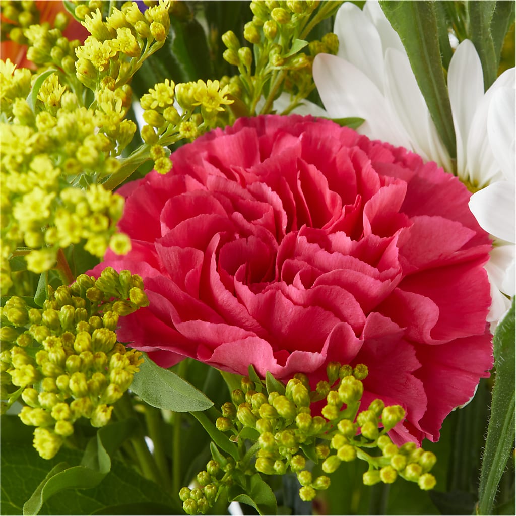 Oopsie Daisy Bouquet – BLOSSOMS & BALLOONS FLORIST, Roseville CA