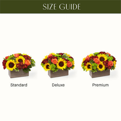 Happy Harvest Garden – BLOSSOMS & BALLOONS FLORIST, Roseville CA