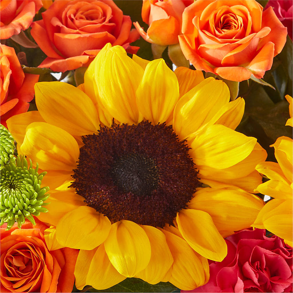 Sun-drenched Blooms Box Bouquet – BLOSSOMS & BALLOONS FLORIST, Roseville CA