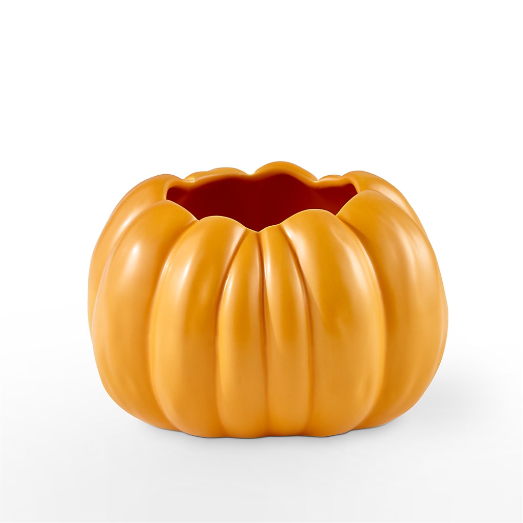 Pick of the Patch Pumpkin Bouquet – BLOSSOMS & BALLOONS FLORIST, Roseville CA