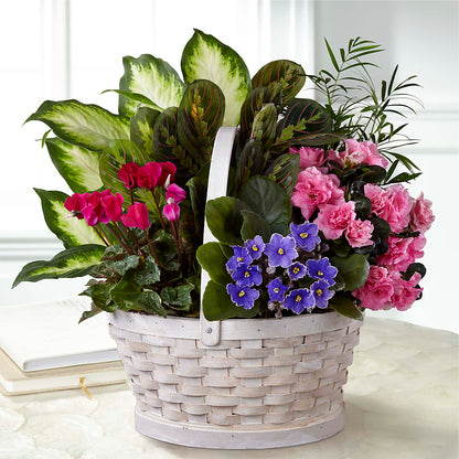 Peaceful Garden Planter – BLOSSOMS & BALLOONS FLORIST, Roseville CA