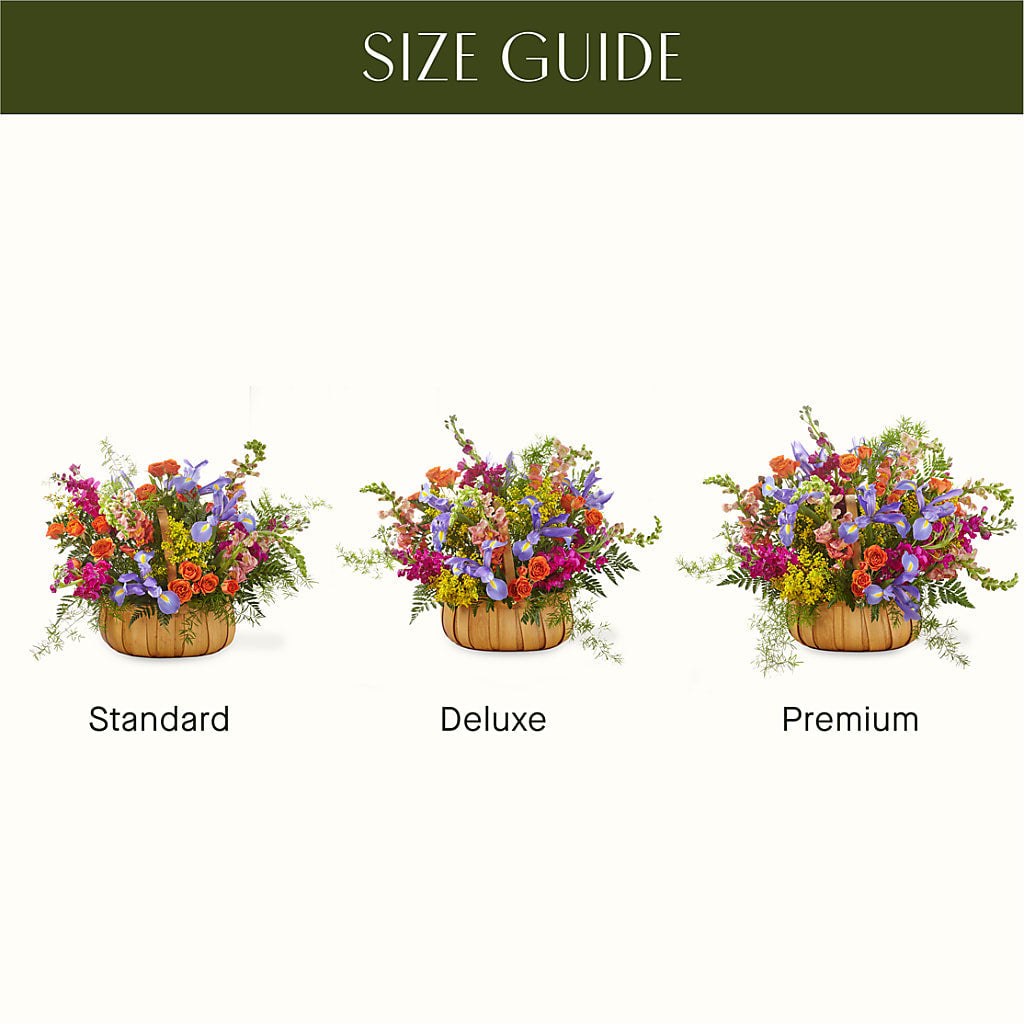 Garden of Life Basket – BLOSSOMS & BALLOONS FLORIST, Roseville CA