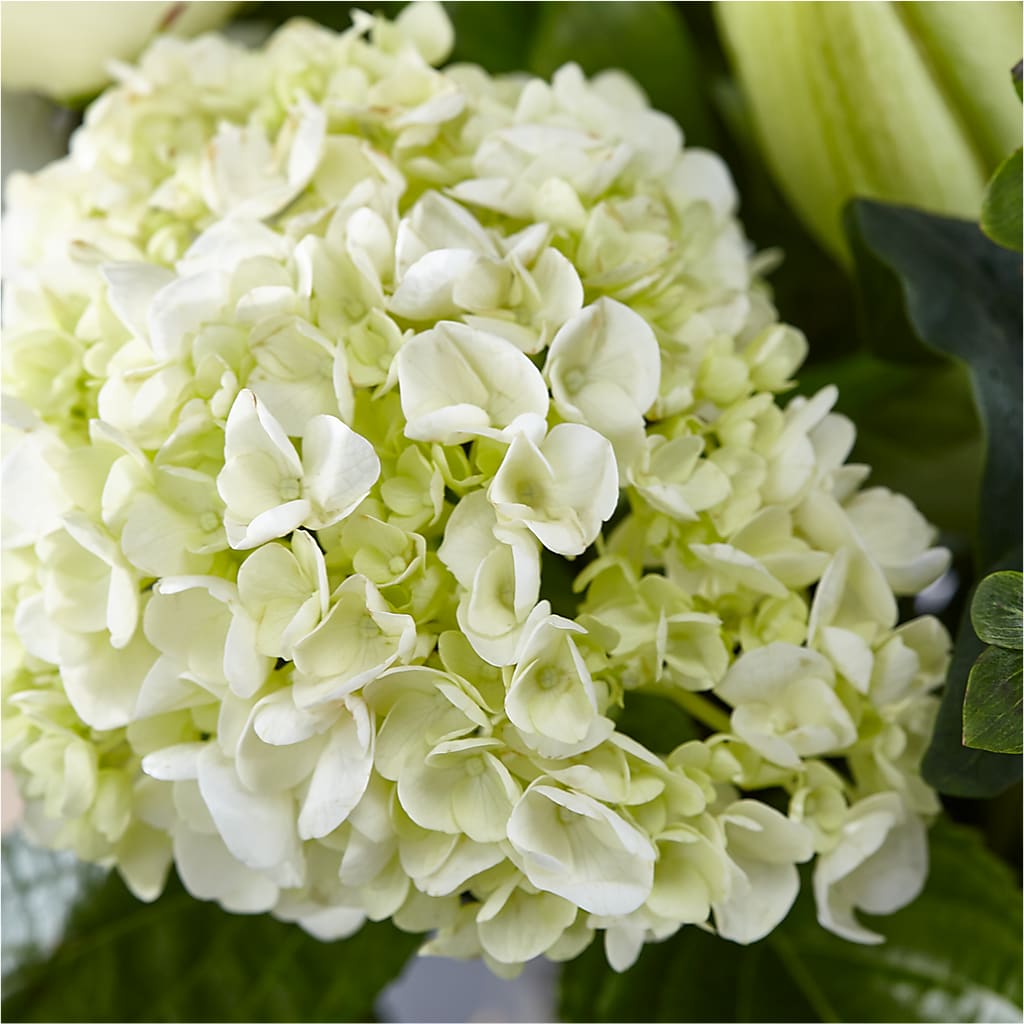 Classic Ivory – A Florist Original – BLOSSOMS & BALLOONS FLORIST, Roseville CA