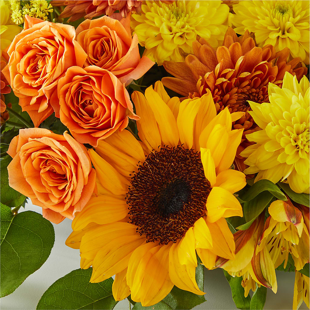 Autumn Harmony Centerpiece – BLOSSOMS & BALLOONS FLORIST, Roseville CA