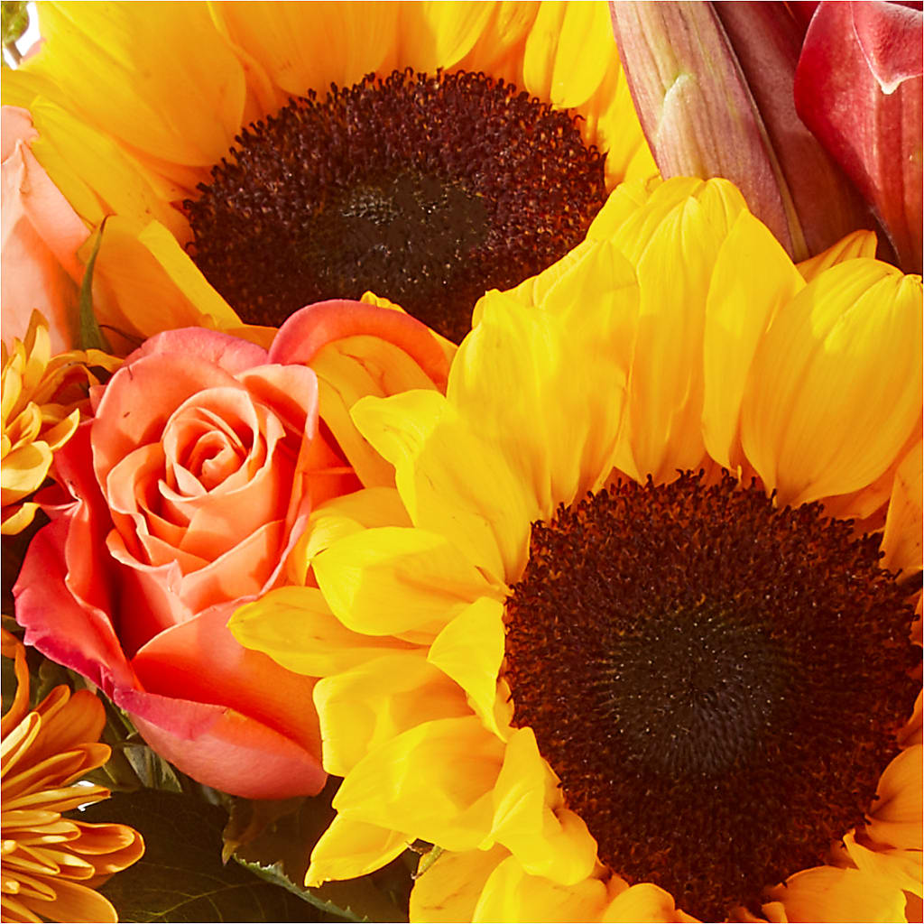 Acorn Lane Bouquet – BLOSSOMS & BALLOONS FLORIST, Roseville CA