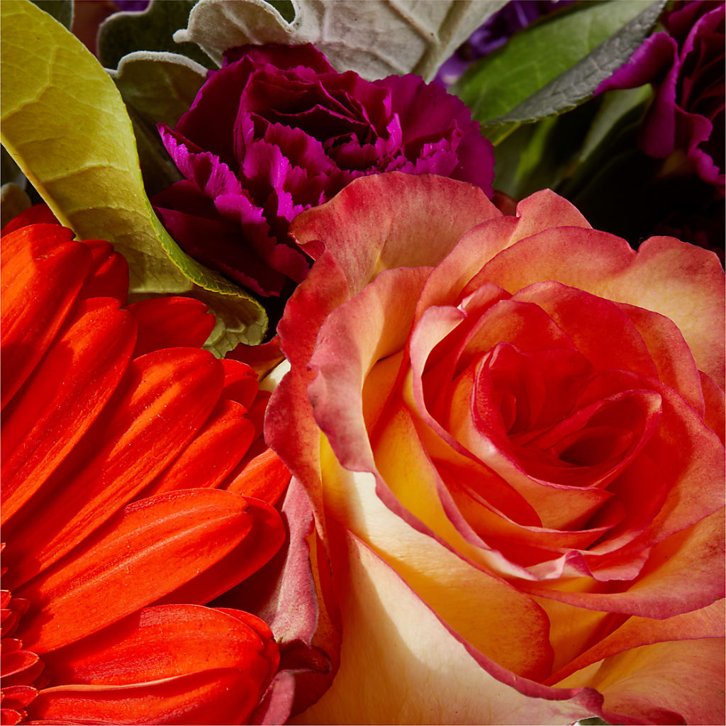 Sangria Bouquet – BLOSSOMS & BALLOONS FLORIST, Roseville CA