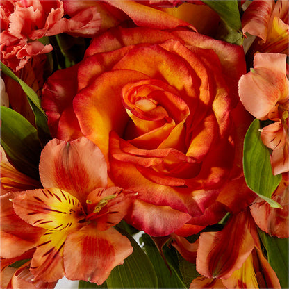 Apricot Glow Bouquet – BLOSSOMS & BALLOONS FLORIST, Roseville CA