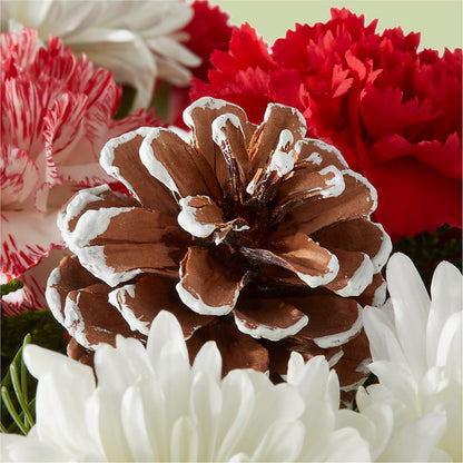 Candy Cane Lane Bouquet – BLOSSOMS & BALLOONS FLORIST, Roseville CA