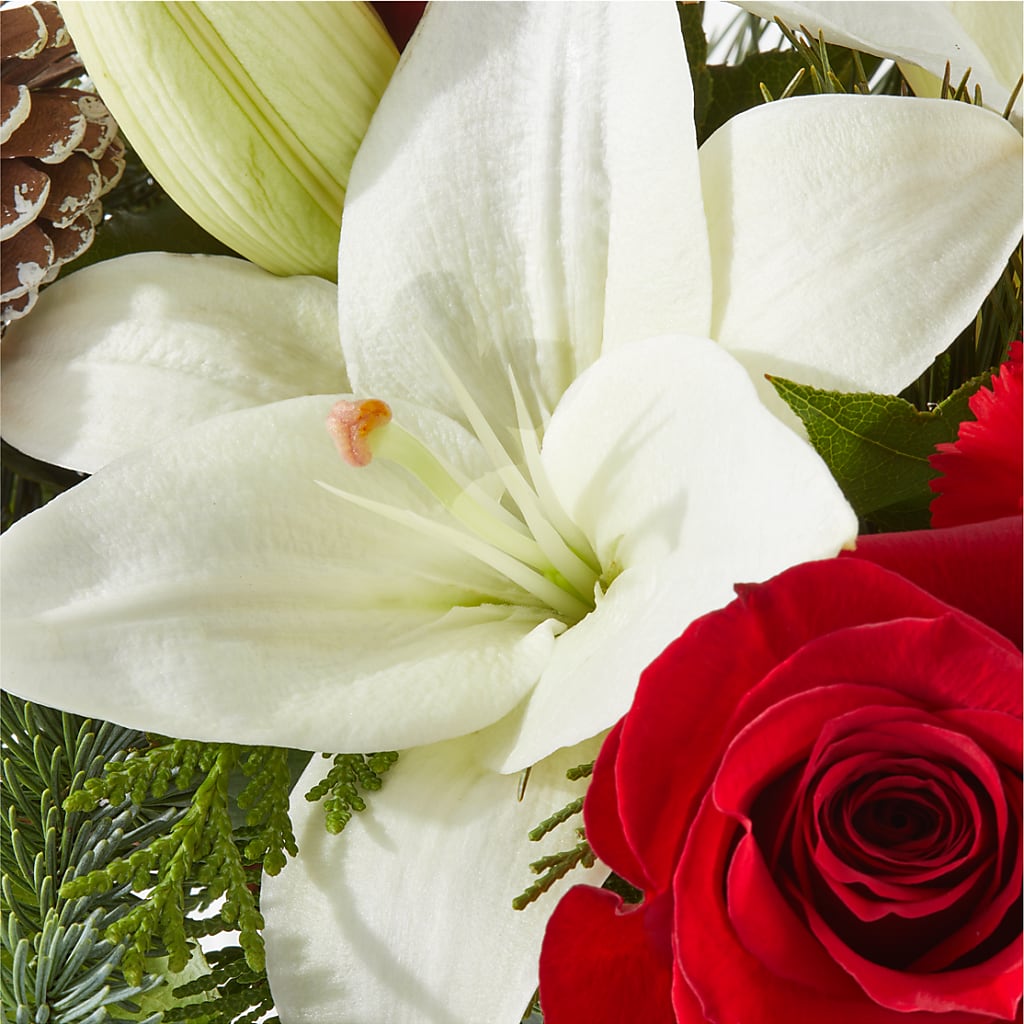 Oh So Jolly Bouquet – BLOSSOMS & BALLOONS FLORIST, Roseville CA