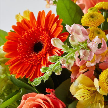 Autumn Sunshine Bouquet – BLOSSOMS & BALLOONS FLORIST, Roseville CA