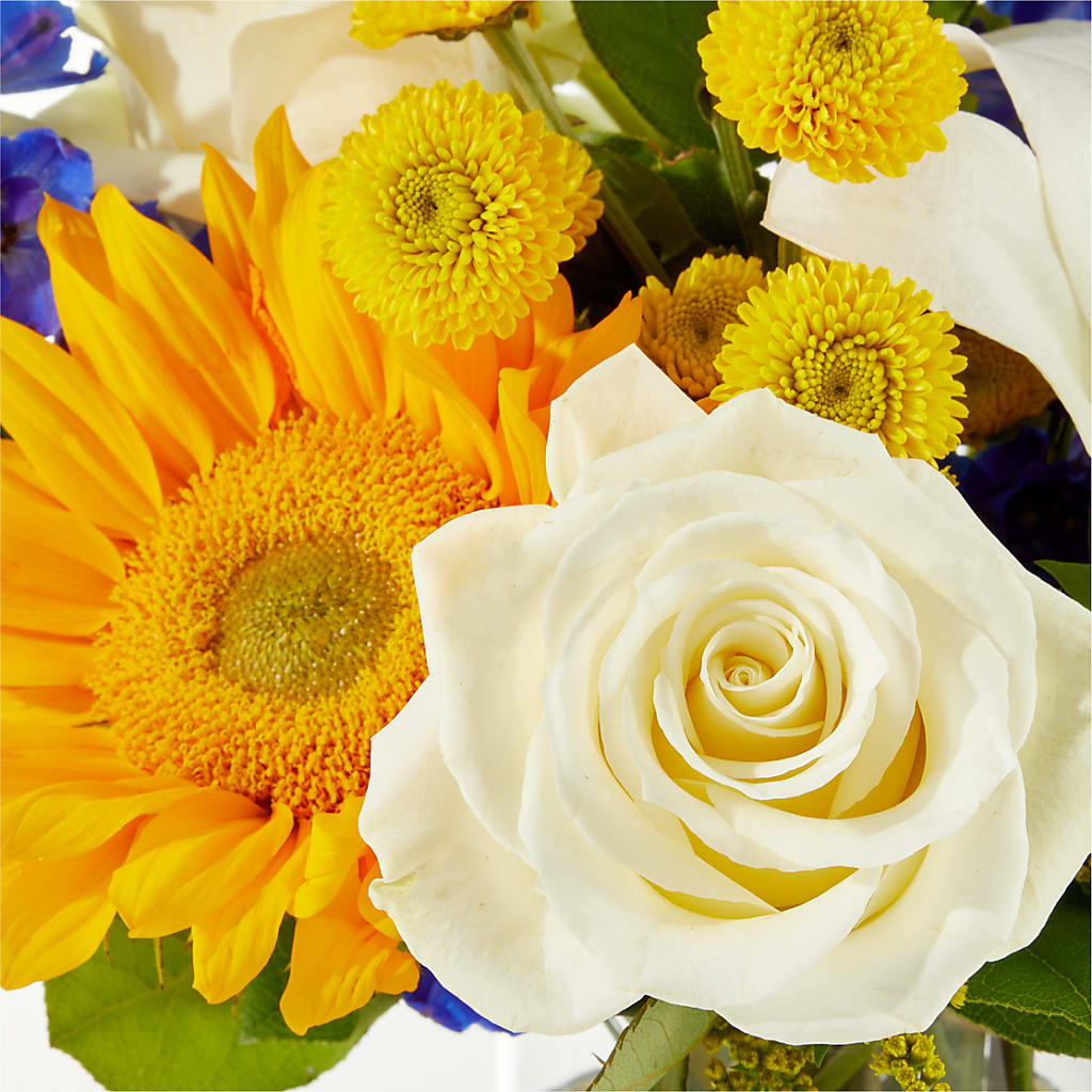 Stargazing Bouquet – BLOSSOMS & BALLOONS FLORIST, Roseville CA