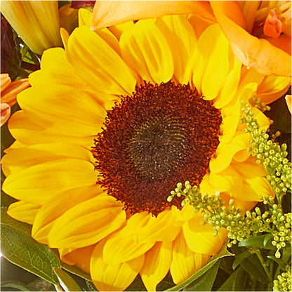 Seasons Change Bouquet – BLOSSOMS & BALLOONS FLORIST, Roseville CA