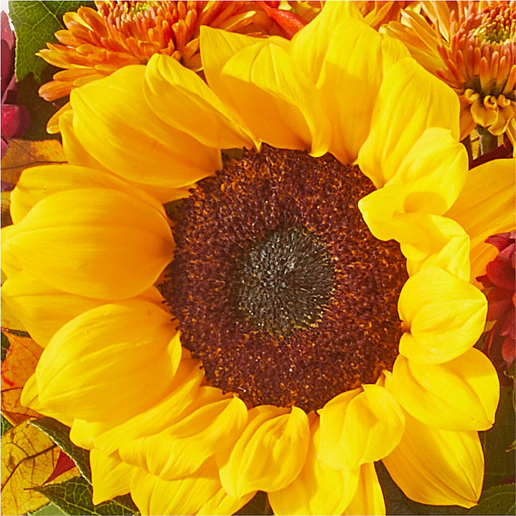 Sunny Side Bouquet – BLOSSOMS & BALLOONS FLORIST, Roseville CA
